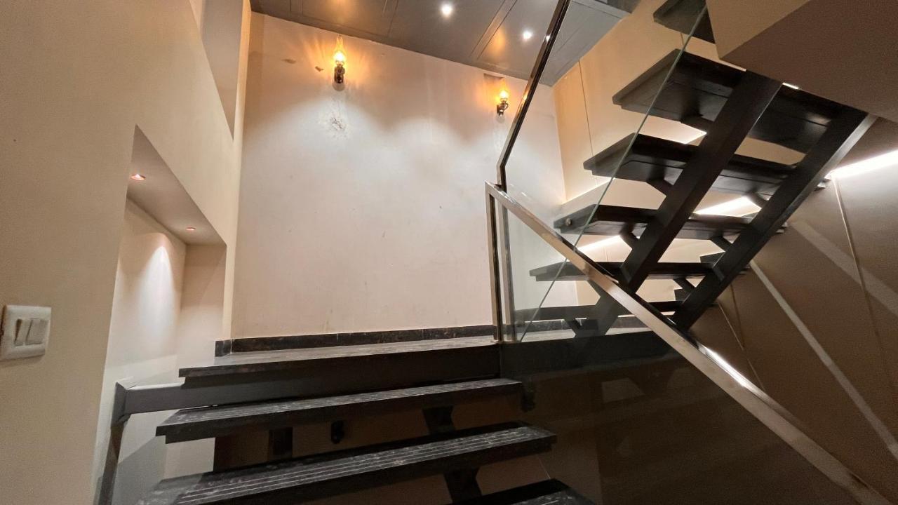 Ip Royal -